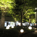 写真: 夜の名谷駅前広場_05