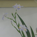 名谷駅　春の花１４_02