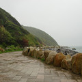 写真: 伊良湖岬への道