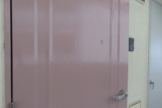 写真: 玄関ドア　塗装完了_02