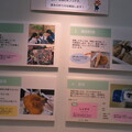 写真: 六甲山のキノコ展　標本の作り方