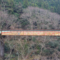 写真: 錦川清流線　橋梁