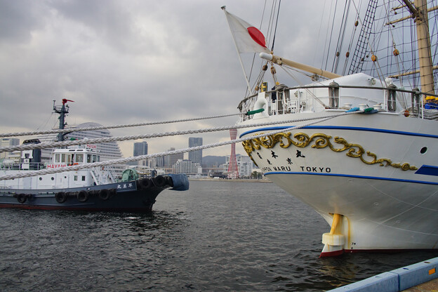写真: 日本丸とタグボート