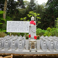 写真: 第五番 臨済寺　水子地蔵