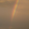 写真: 夕方の虹
