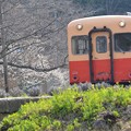写真: 小湊鉄道
