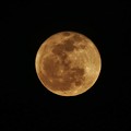 写真: 月の出１時間後の月