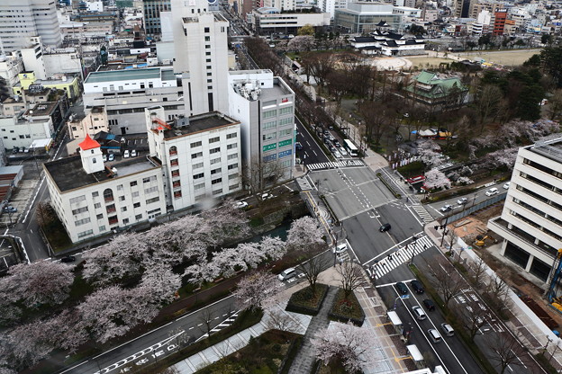 富山市役所の展望塔からの俯瞰　IMG_4985