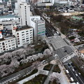 富山市役所の展望塔からの俯瞰　IMG_4985
