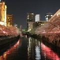 写真: 目黒新橋と両岸の桜