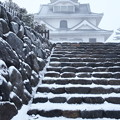 写真: 雪の長浜城