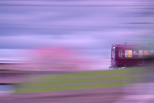 写真: 春色の汽車に乗って