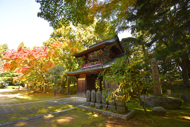 写真: 秋の常隆寺