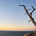 写真: 明神岬　秋の夕暮れ