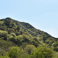 写真: 新緑の里山風景