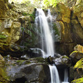 写真: 新緑の「鮎屋の滝」