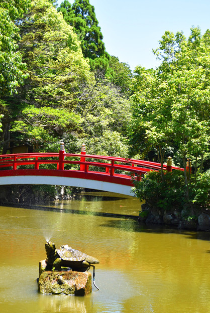 写真: 日本最古の神社「伊弉諾神宮」放生の神池