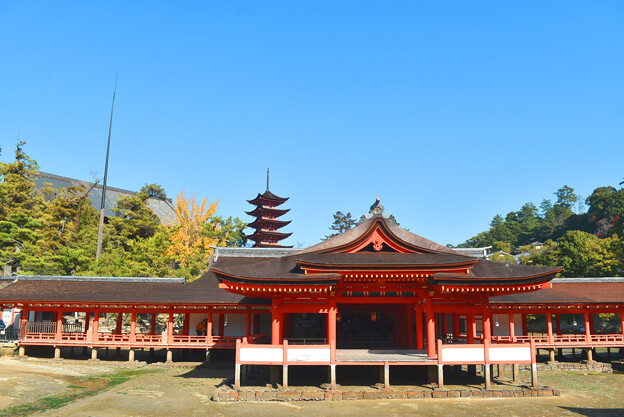 写真: 秋の宮島「厳島神社」本社本殿