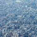 写真: 東京ドーム