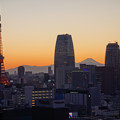 東京タワーと富士山・夕景