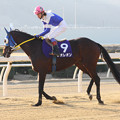 写真: レオレオン 返し馬（08/01/06・福山アラブ大賞典）