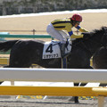 写真: リオサリナス レース（14/02/22・新馬戦）