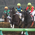 写真: ラッキーバニラ レース（14/02/02・4R）