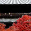 写真: 南禅寺の赤