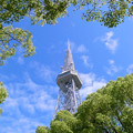 写真: 名古屋TV塔