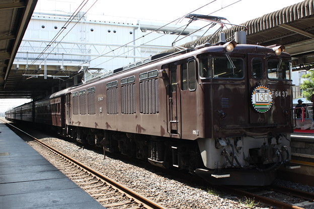 写真: EF64 37+旧型客車+EF64 1001　レトロ高崎線130周年記念号