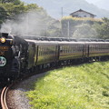 写真: 秩父鉄道C58 363（「あの花」HM付）+12系　SLパレオエクスプレス