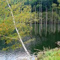 写真: 自然湖３