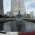 写真: 130715-帆船日本丸 総帆展帆 (53)