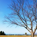 写真: 仁王堂公園〜見えるは日本海＾＾
