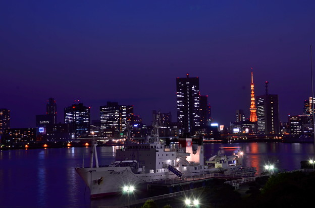 晴海ふ頭から見た東京タワー