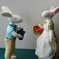 写真: ウサギのお父さんとお母さん