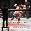 UFC JAPAN 2013　さいたまスーパーアリーナ　20130303  (8)