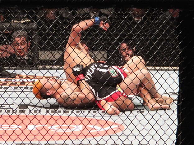写真: UFC JAPAN 2013　さいたまスーパーアリーナ　20130303  (14)