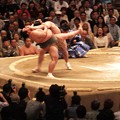 大相撲 8日目 両国国技館 20130519 (25)