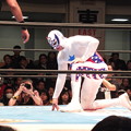 新日本プロレス CMLL FANTASTICA MANIA 2014 後楽園ホール 20140118 (6)