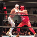 新日本プロレス CMLL FANTASTICA MANIA 2014 後楽園ホール 20140118 (17)