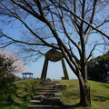 写真: 【さくら満開 写真】西公園 桜 福岡 2014年3月28日撮影 (55)