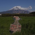 写真: 富士山と鯉のぼり