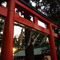 写真: 吉田神社 夕刻