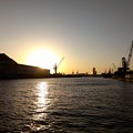 写真: 渡船からの大阪の夕日