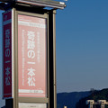 写真: ＪＲ東日本・大船渡線、奇跡の一本松駅