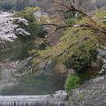 嵐山・桜と紅葉