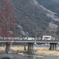 渡月橋と枝垂桜