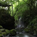 写真: 万葉公園の渓流と滝
