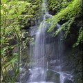 写真: 万葉公園の滝